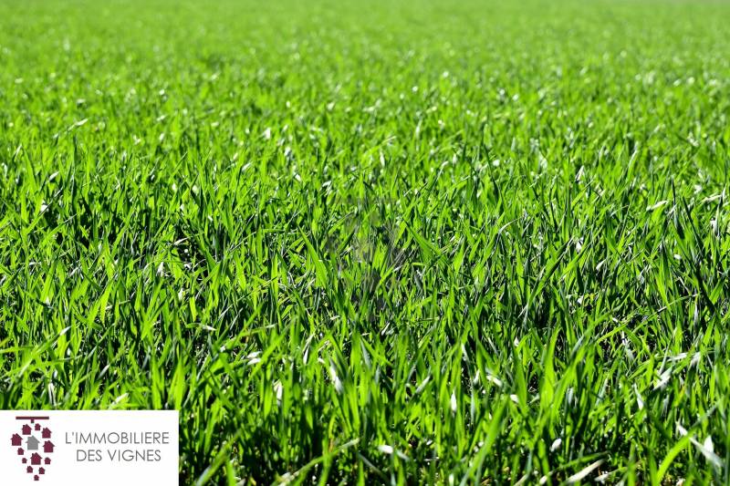 Terrain à bâtir 490 m² - LIBRE DE CONSTRUCTEUR saint medard d'eyrans