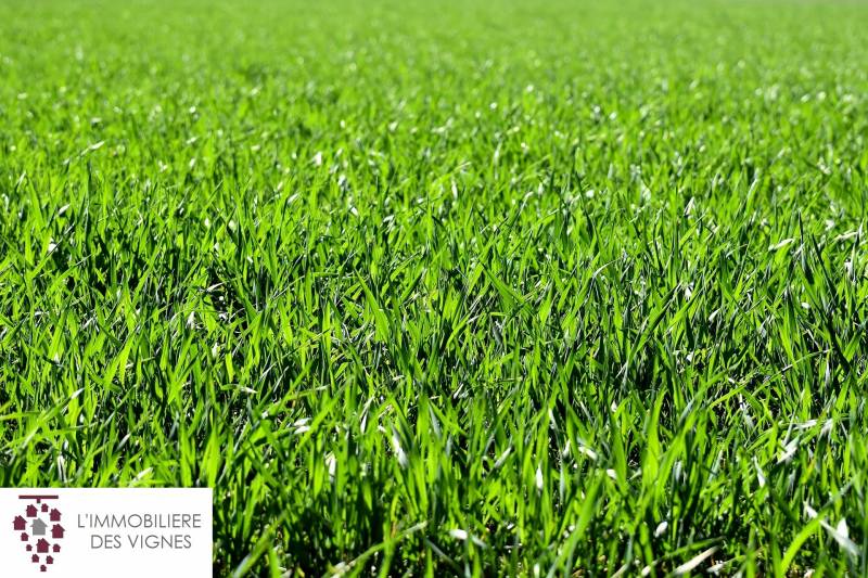 Terrain 500m² - Libre de constructeur Martillac La Morelle 